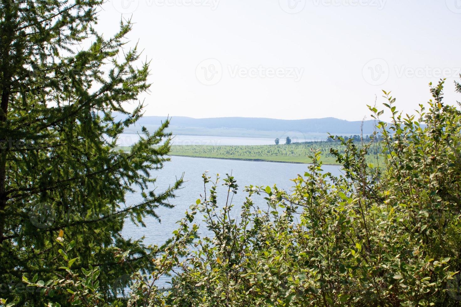 Branches of green trees on the background of the lake and mountains. photo