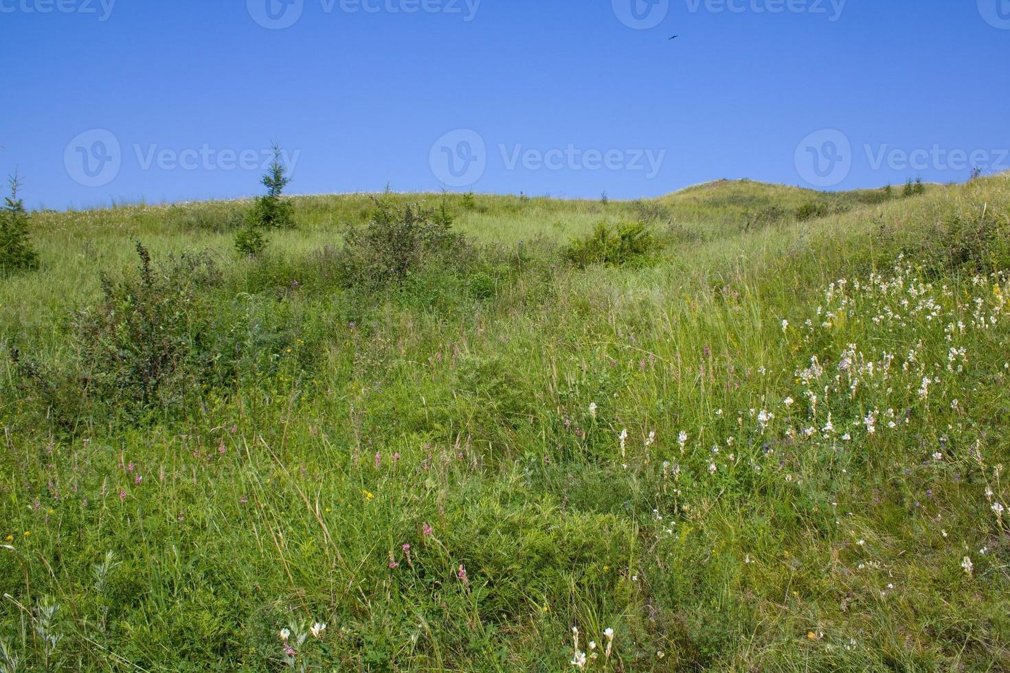 Hill covered with green grass and shrubs against a blue sky. photo