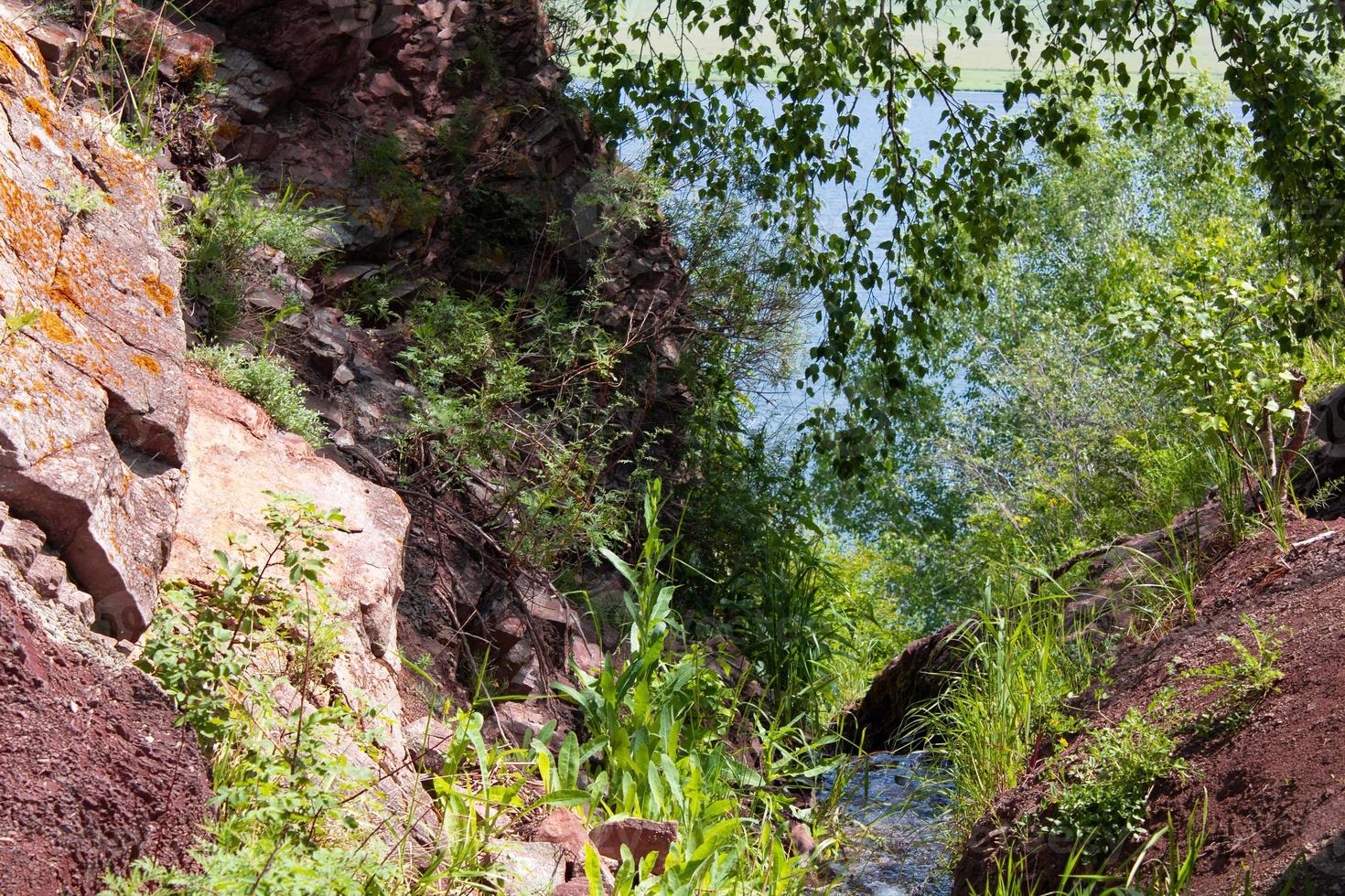 A stream flows in a ravine against a background of green leaves photo