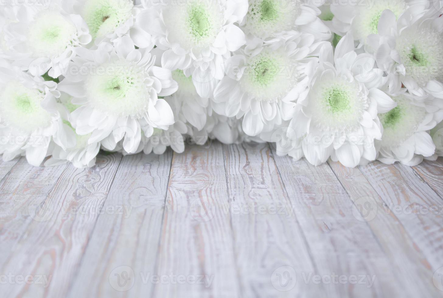 Flowers of delicate white chrysanthemums on a white wooden background photo