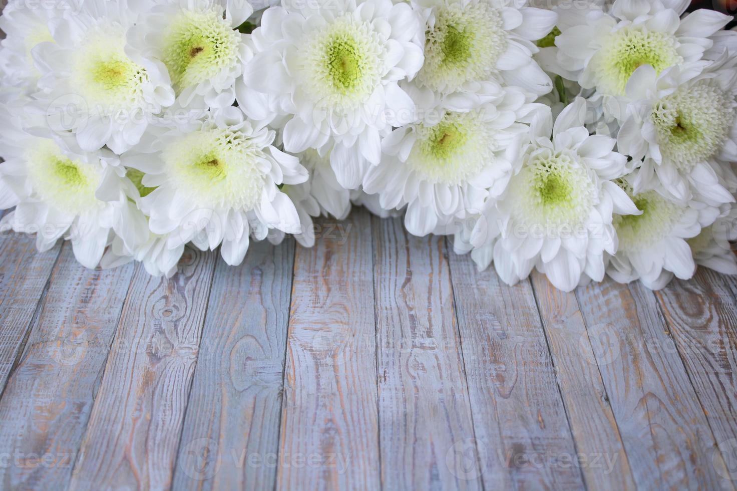 Flowers of delicate white chrysanthemums on a wooden background photo