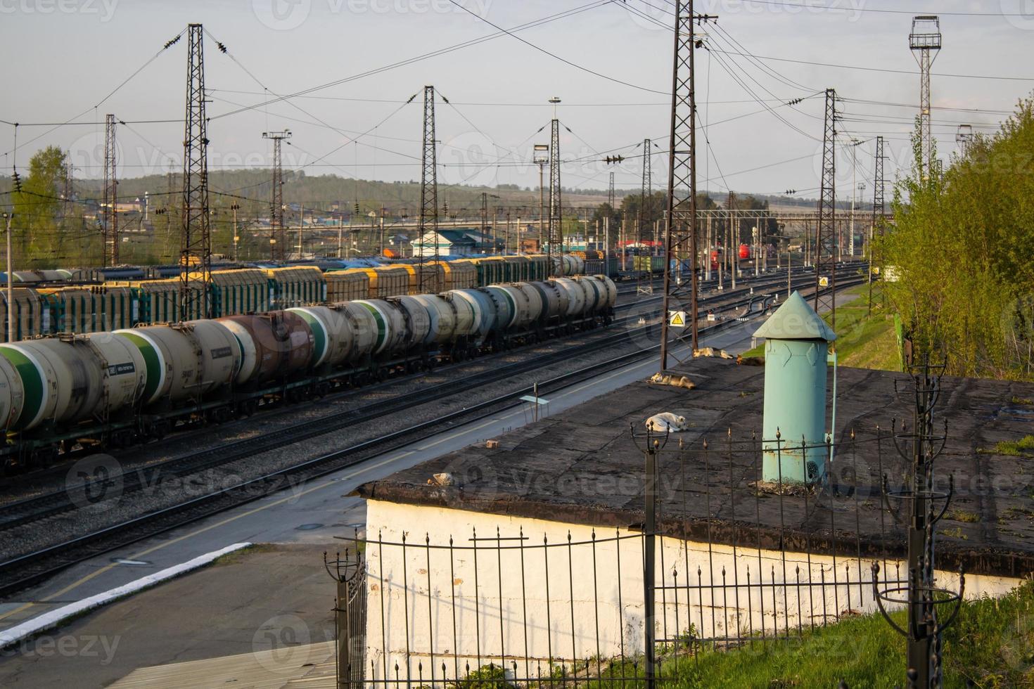 Freight wagons on the railroad. Freight infrastructure. photo