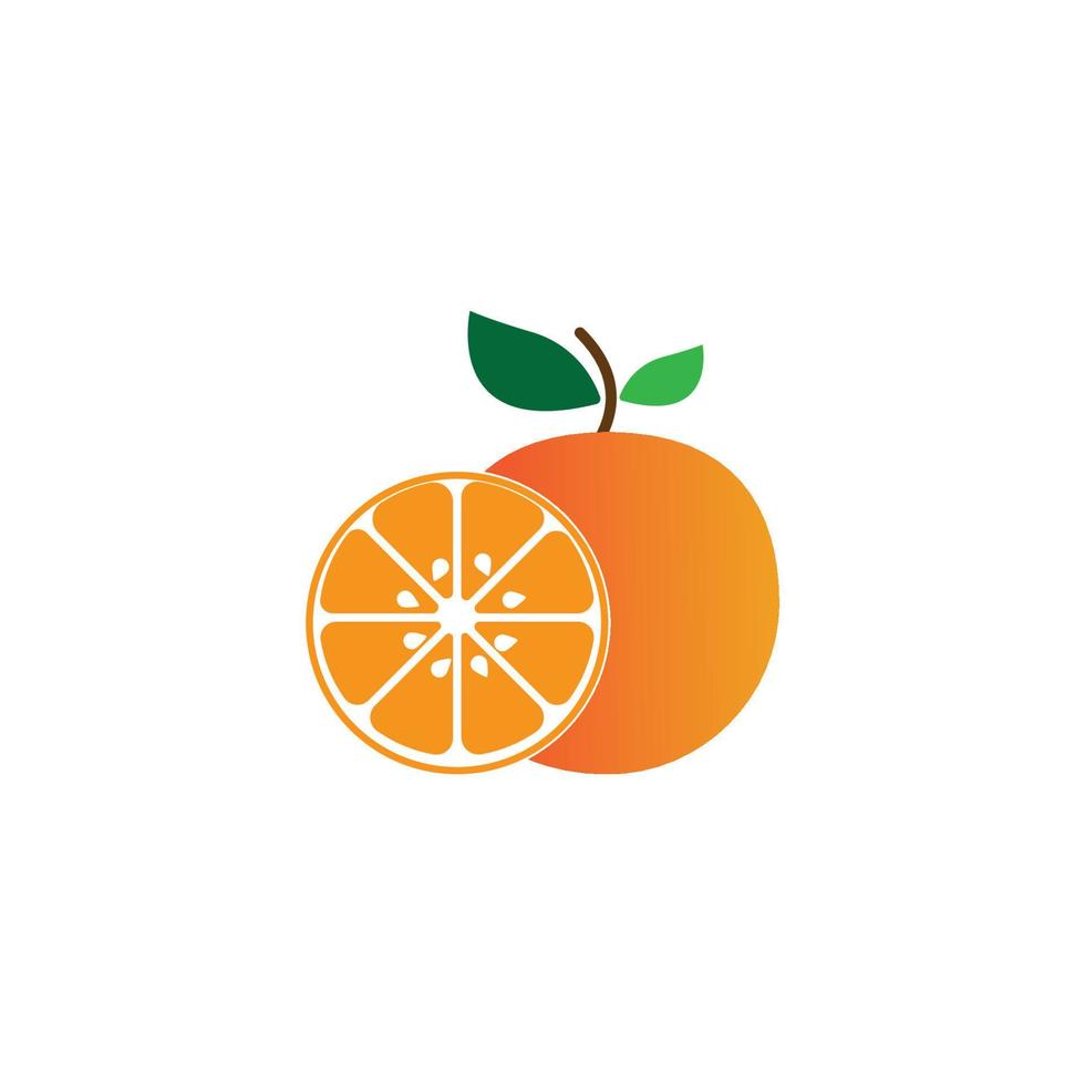 Orange fruit logo  vector illustration design