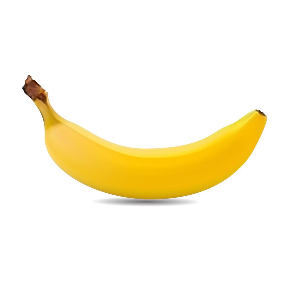 banana on a white background vector