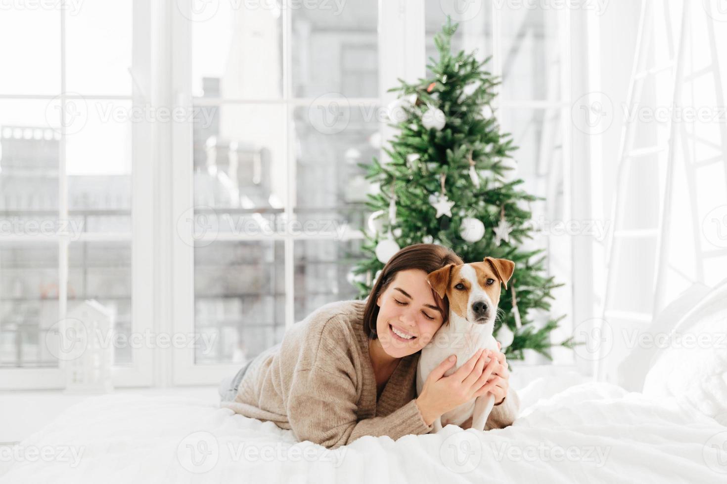 Merry lovely woman with cute dog, embraces pet and expresses love, dressed in winter sweater, pose together at comfortable bed in white spacious room, decorated firtree behind for festive mood photo