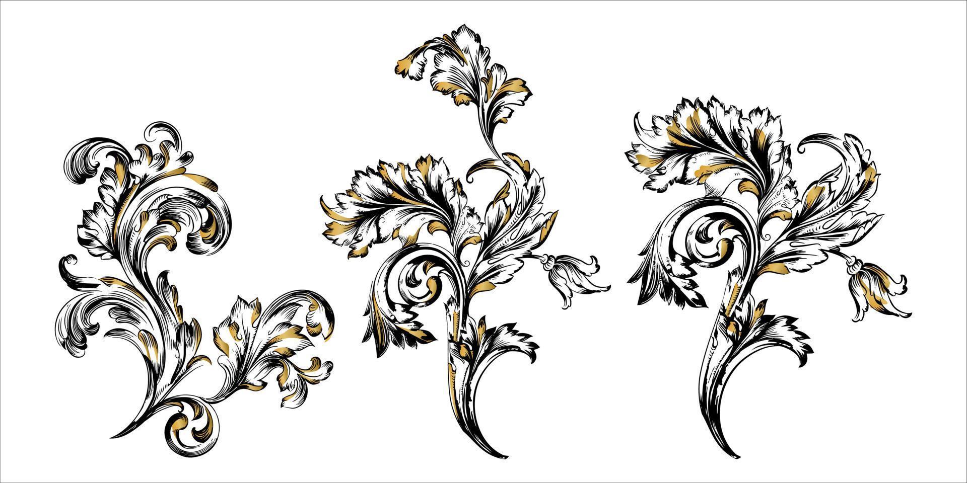 Ilustración de vector floral ornamental aislado sobre fondo blanco.