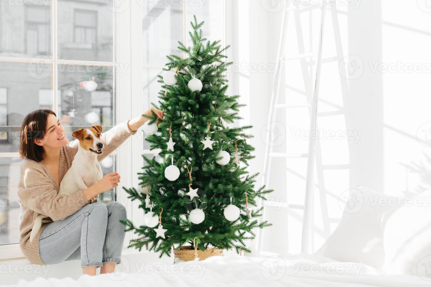Morning before Chtistmas. Merry delighted woman sits on windowsill with pedigree jack russell terrier dog, enjoy New Year holiday, decorate firtree with decoration ball. People, animals, winter time photo