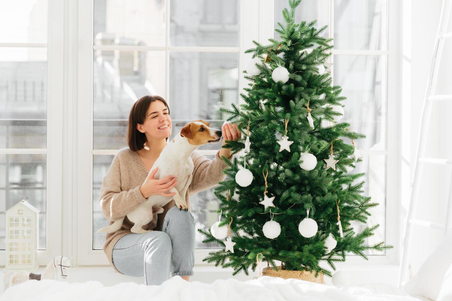 Christmas and New Year celebration. Happy housewife with broad smile, poses near decorated firtree with dog who smells bauble, pose against big window in modern apartment. Winter holidays concept photo