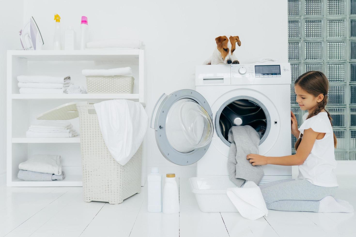 una niñita bonita y ocupada lava la ropa en casa, posa de rodillas cerca de la lavadora, usa polvo líquido, un perro pedigrí encima de la lavadora, mira a la pequeña dueña de casa anfitriona. concepto de limpieza foto