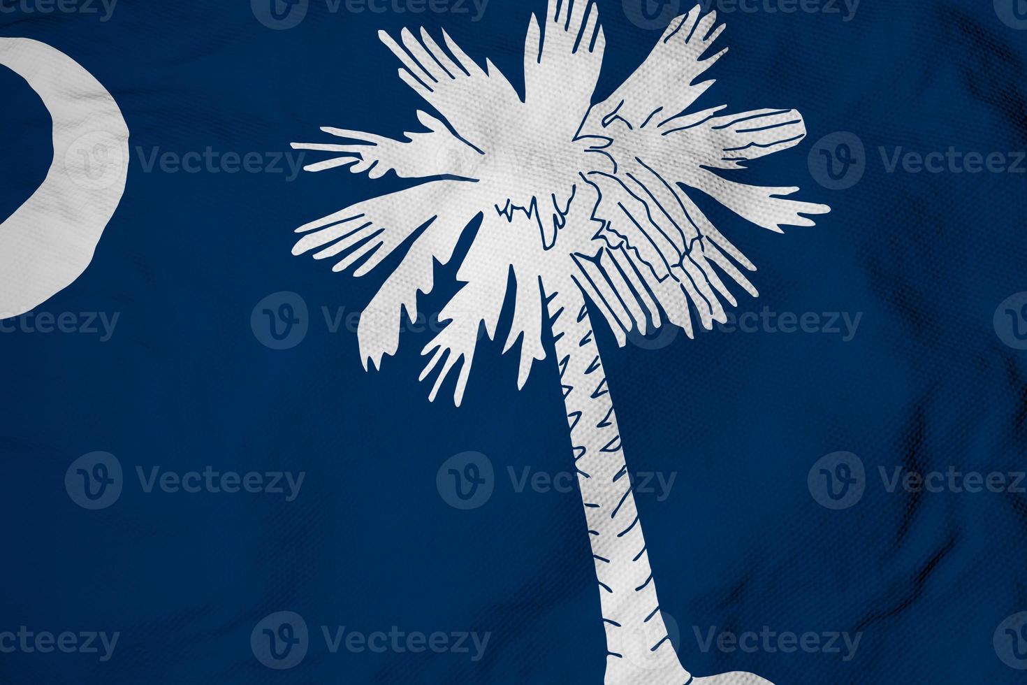 Flag of South Carolina in 3D rendering photo
