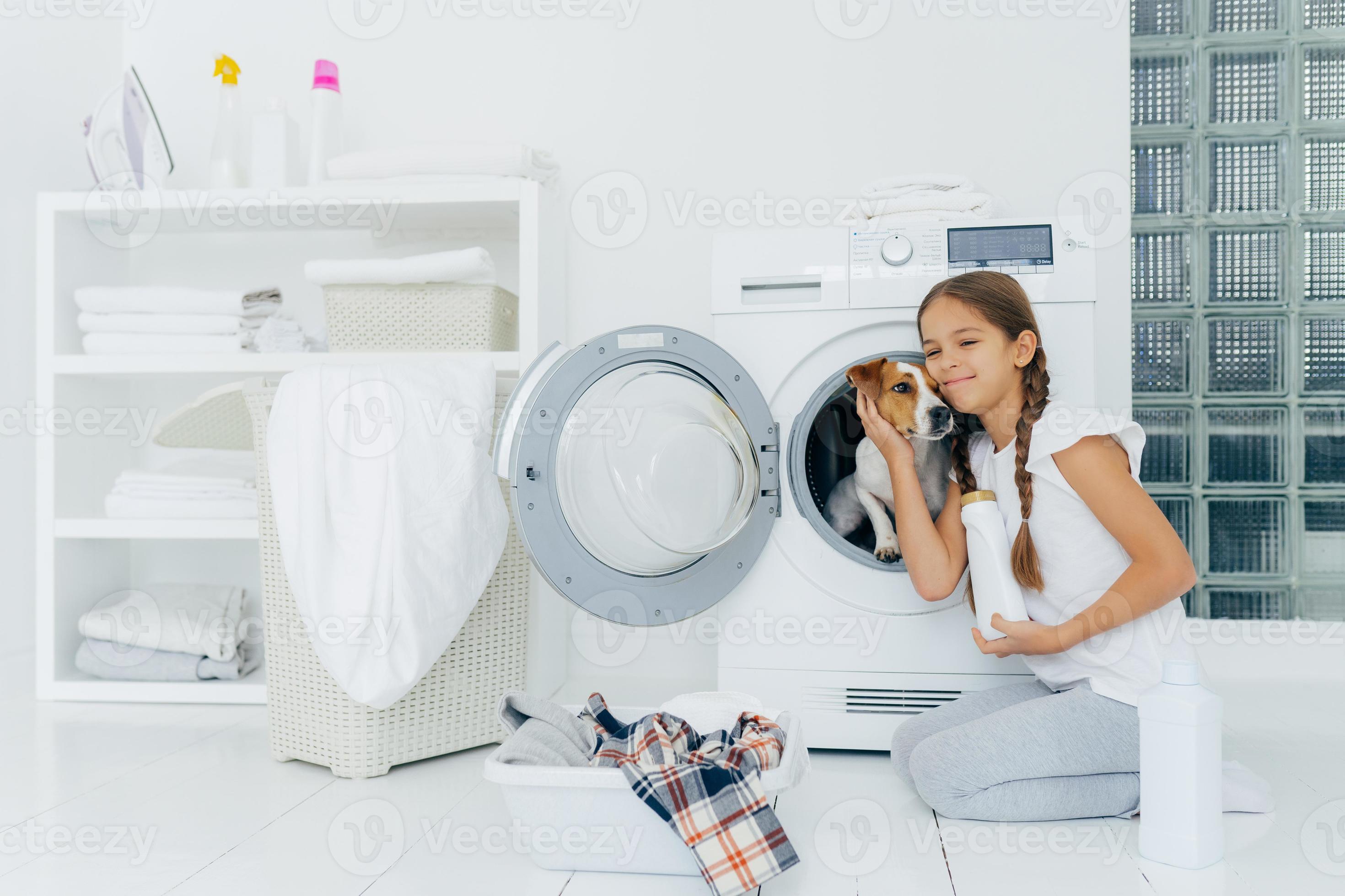 Photo of attractive girl petting pedigree dog in washing machine, holds