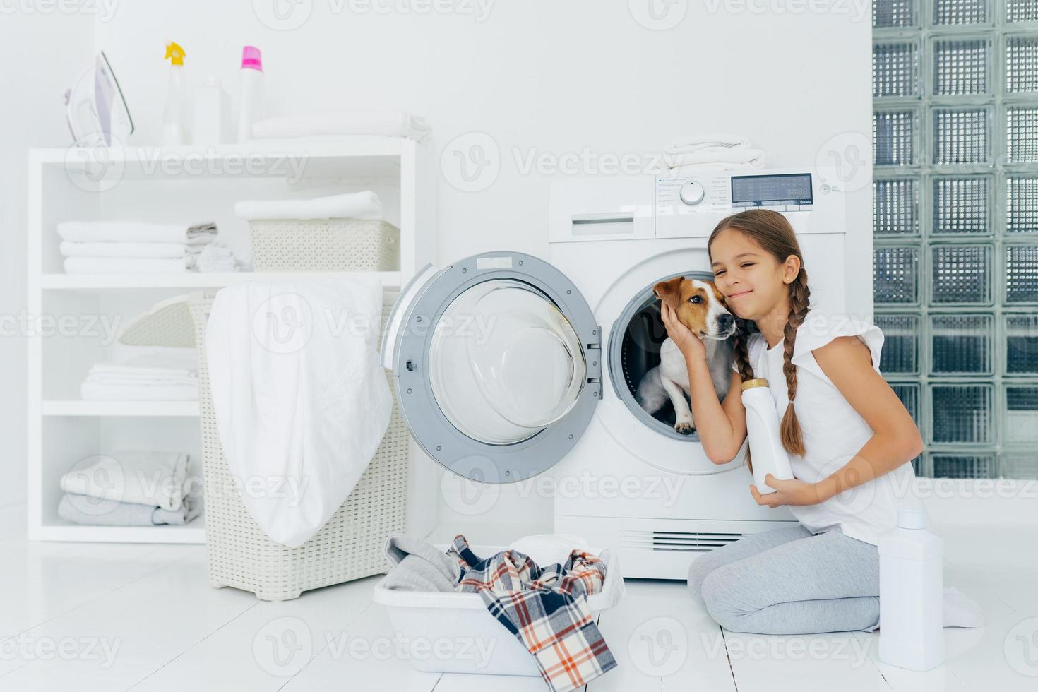 Photo of attractive girl petting pedigree dog in washing machine, holds washing detergent, going to load washer, busy with laundry and domestic chores, washes clothes at home, poses indoors.