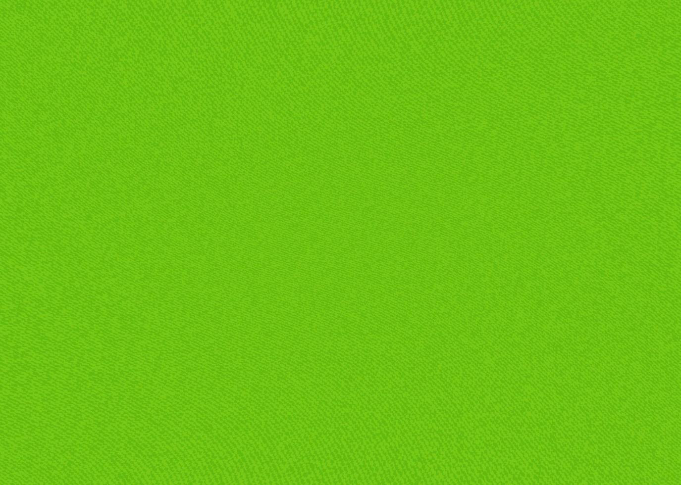 Green background with paper texture wall design. Vector illustration.