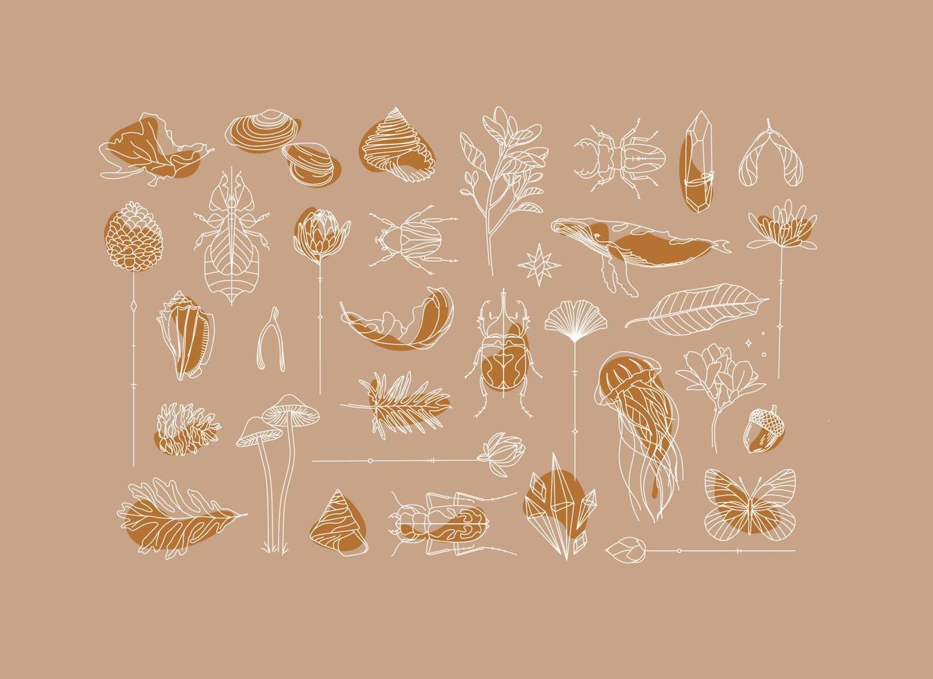 Art Deco flora and fauna collection drawing on beige background vector