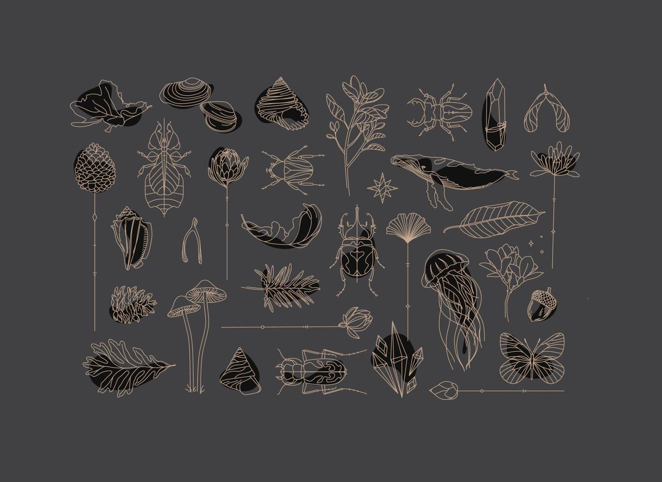dibujo de la colección art deco de flora y fauna sobre fondo gris vector