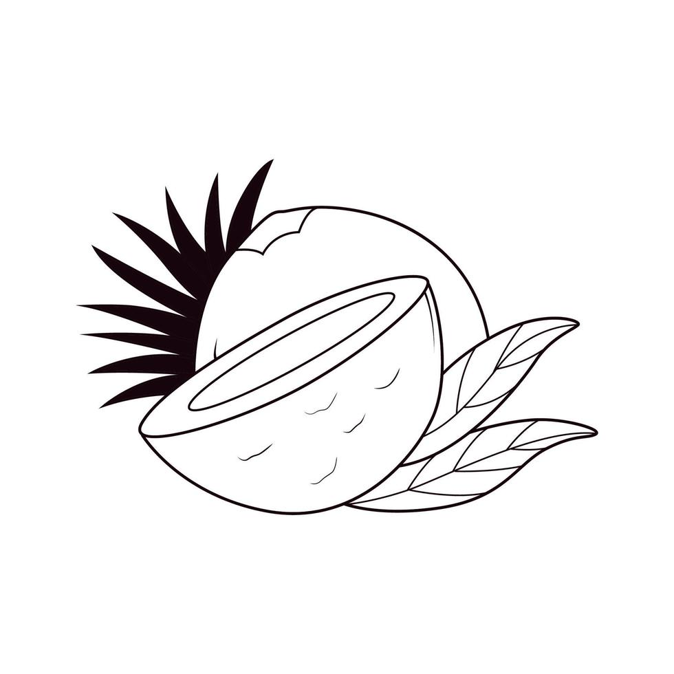 black and white fruit of summer vector