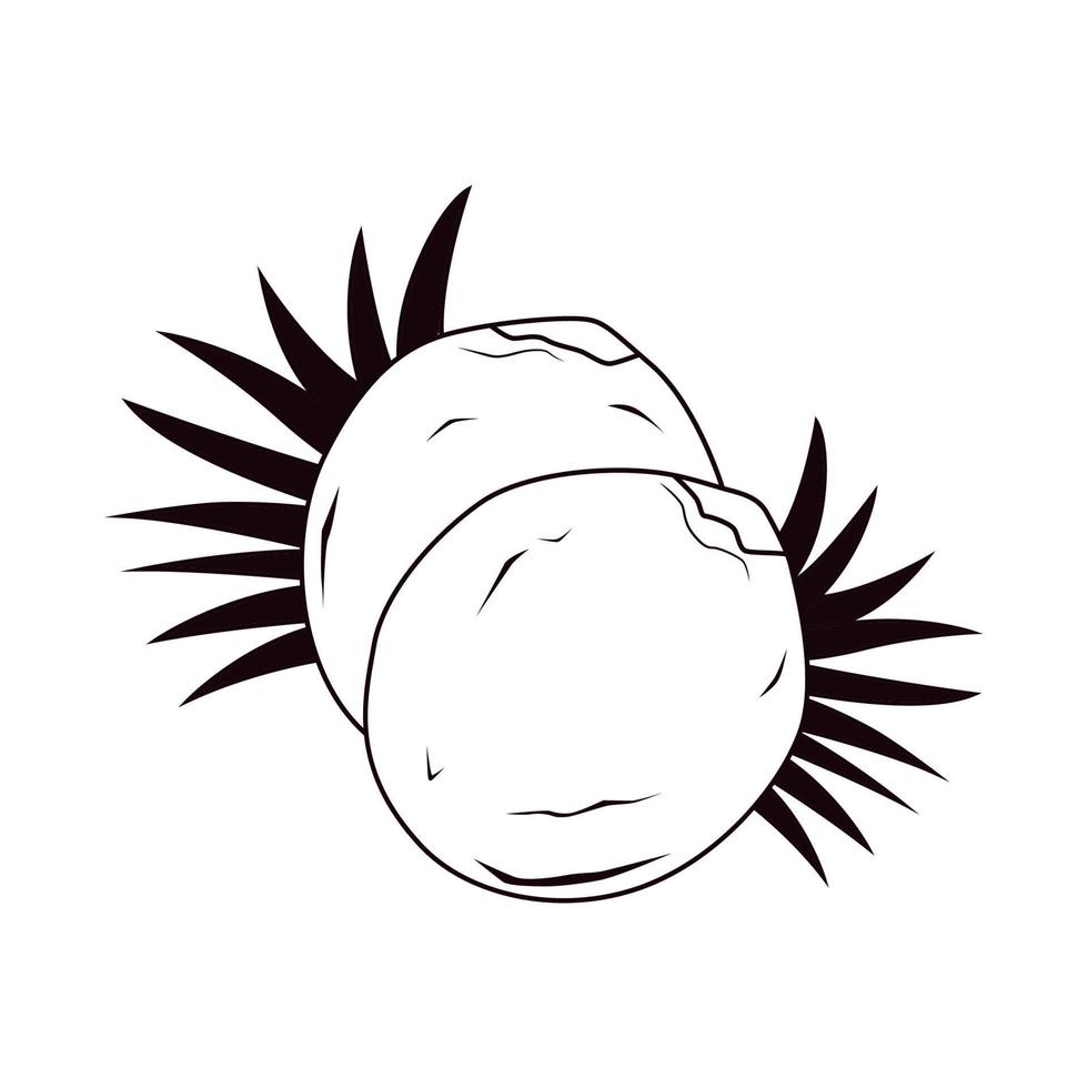 black and white fruit of summer vector