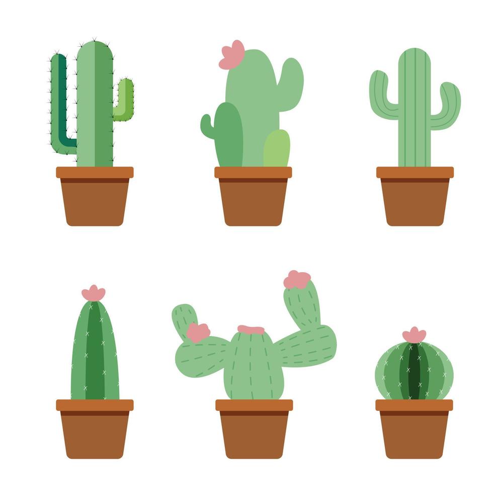 pastel cactus collection vector