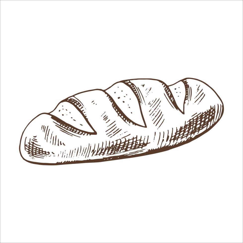 Vector hand drawn illustration of bread. Brown and white drawing isolated on white background. Sketch icon and bakery element for print, web, mobile and infographics.