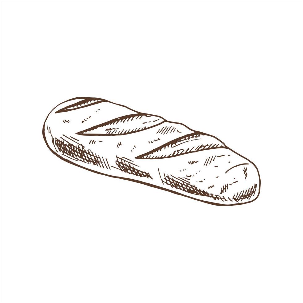 ilustración dibujada a mano vectorial de la hogaza de pan. dibujo marrón y blanco aislado sobre fondo blanco. icono de esbozo y elemento de panadería para impresión, web, móvil e infografía. vector