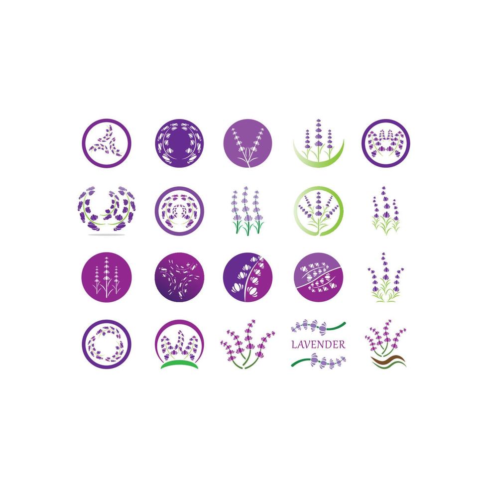 Fresh Lavender flower logo vector