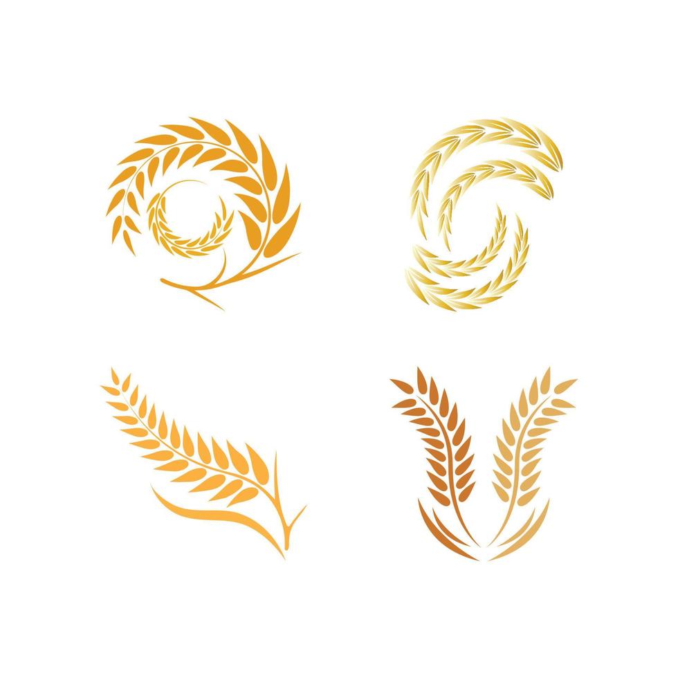 Wheat logo vector icon illustration