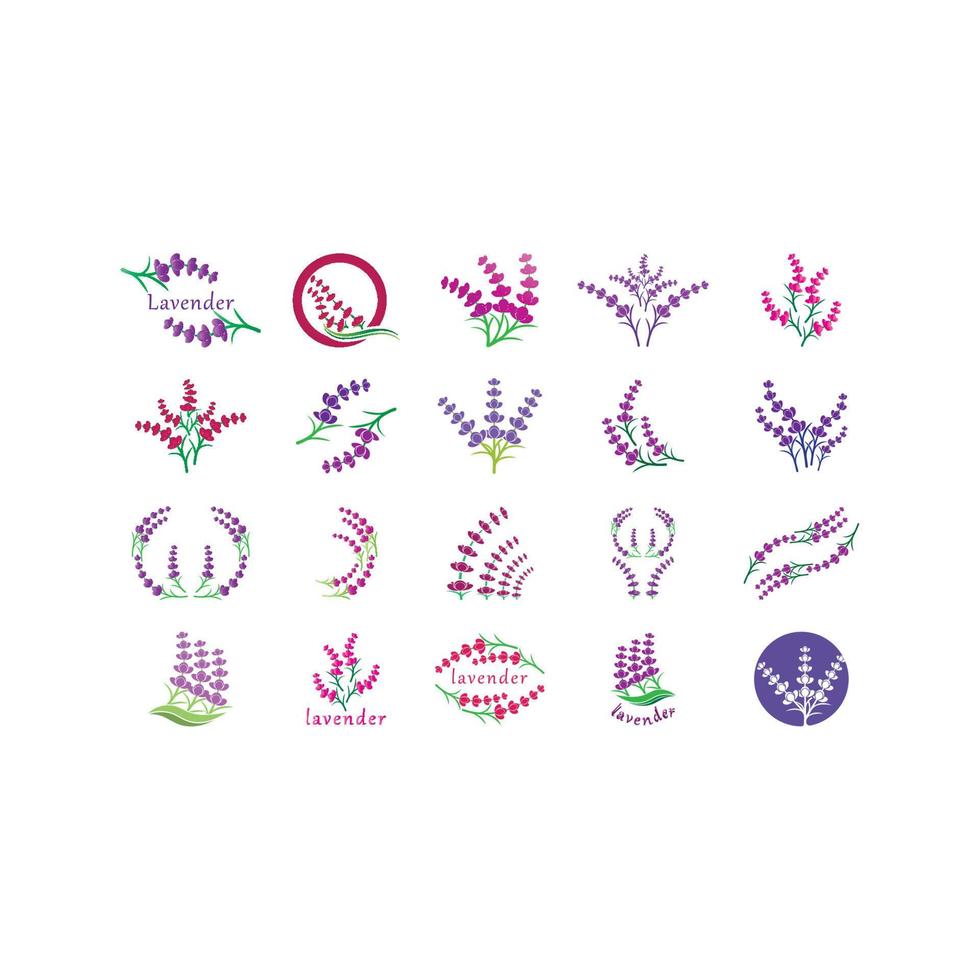 Fresh Lavender flower logo vector