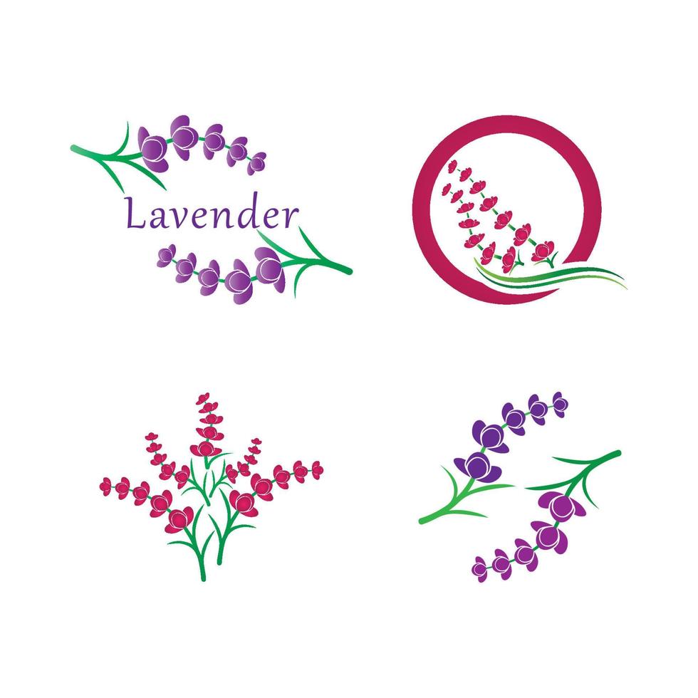 vector de logotipo de flor de lavanda fresca