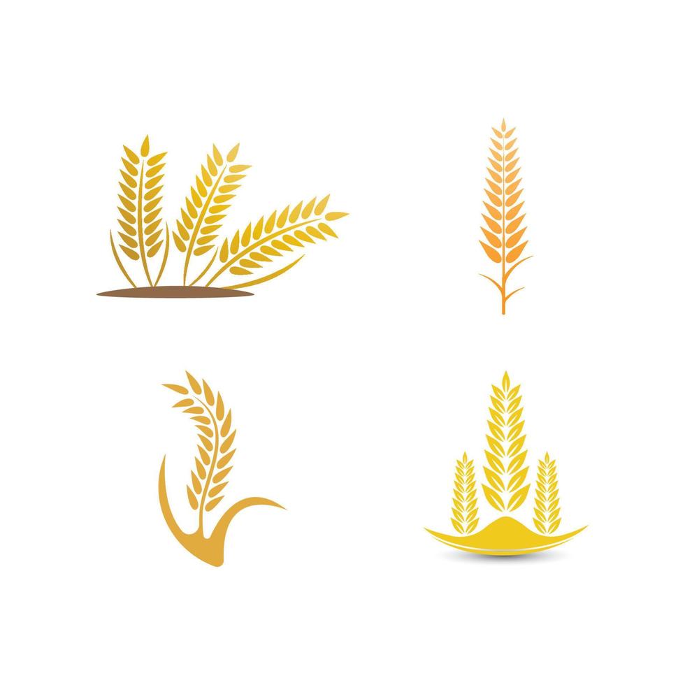 Wheat logo vector icon illustration