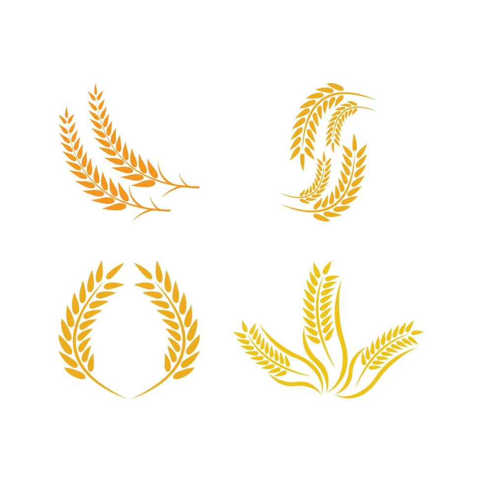 Wheat logo vector icon illustration