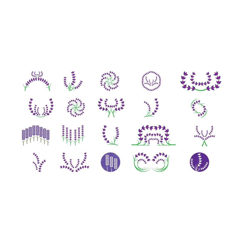 Fresh Lavender flower logo vector