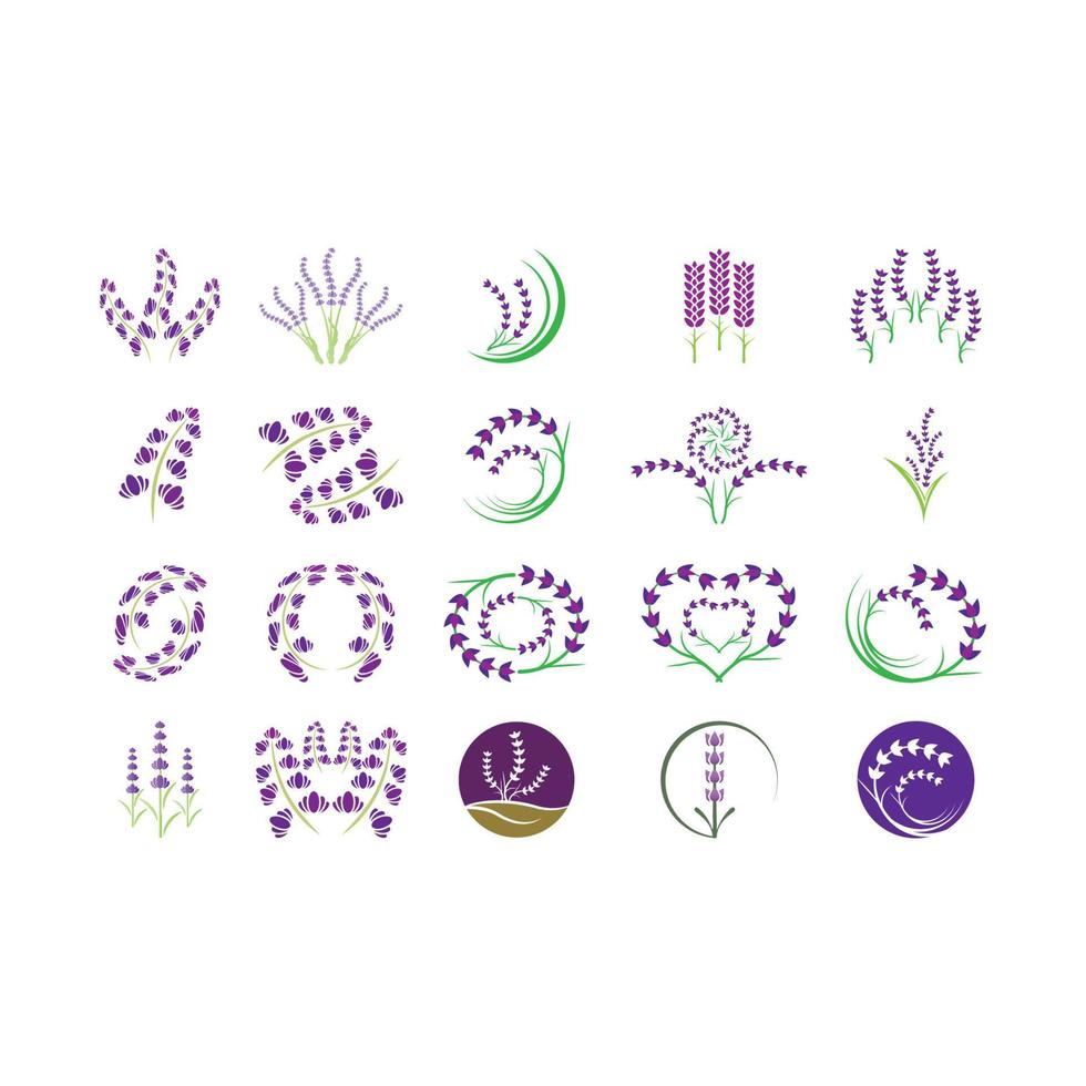 Fresh Lavender flower logo vector