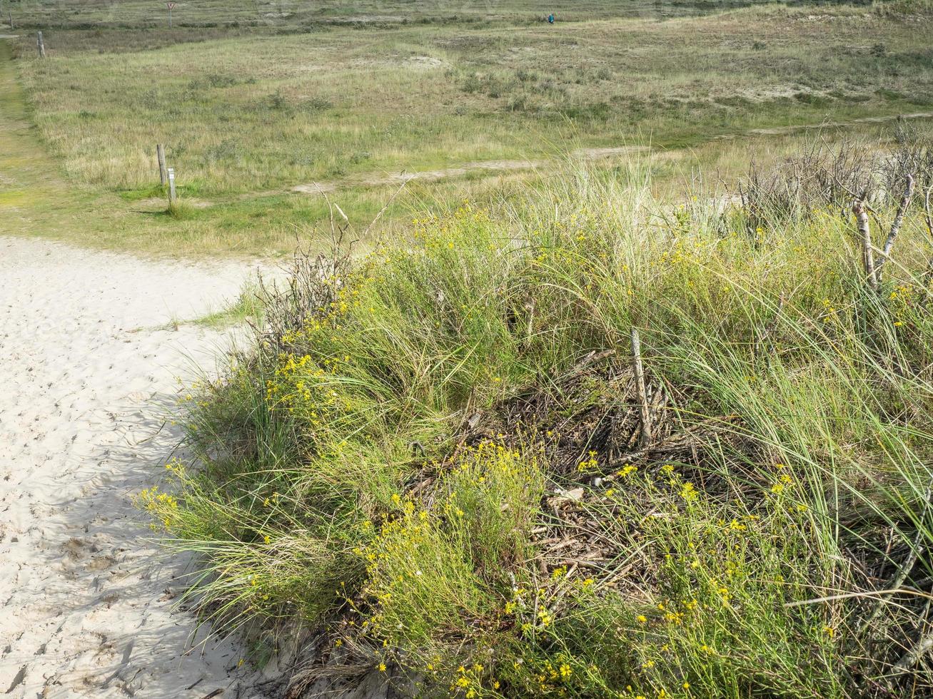 the island of Spiekeroog in germany photo