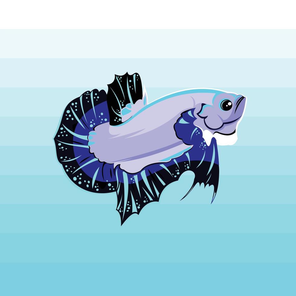 beta fish mascot vector