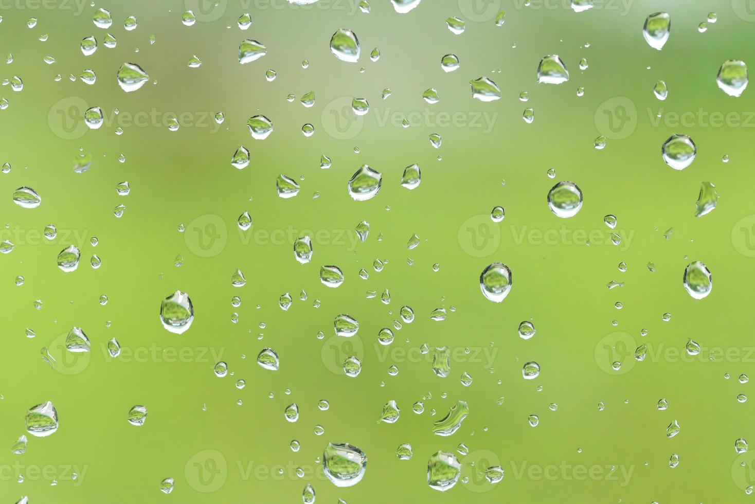 Drops of rain on the window photo