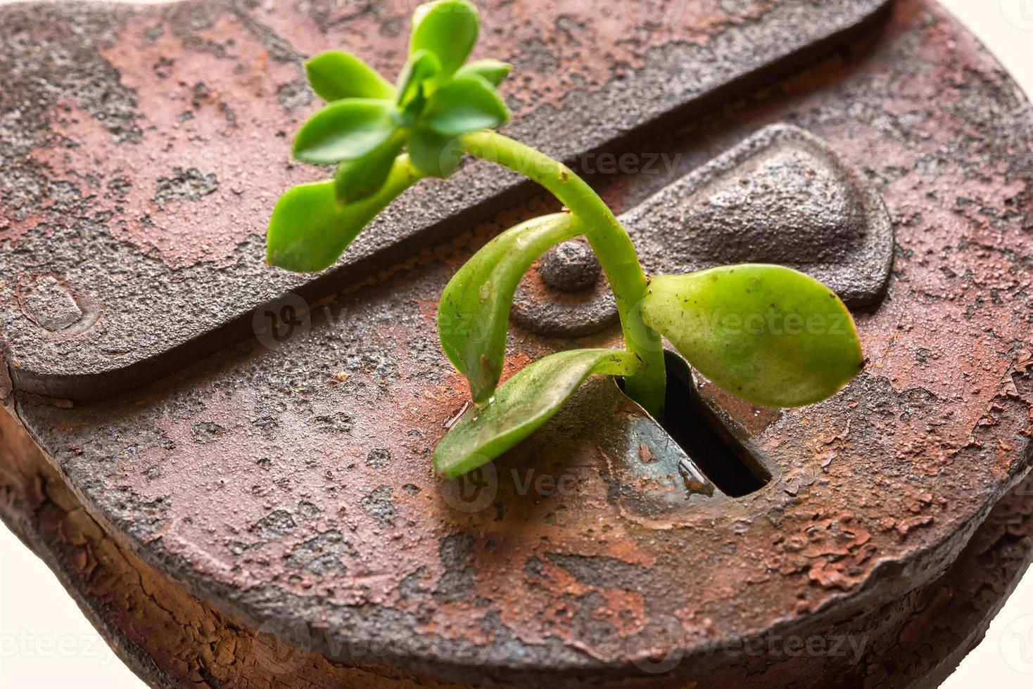 Old lock with a key photo