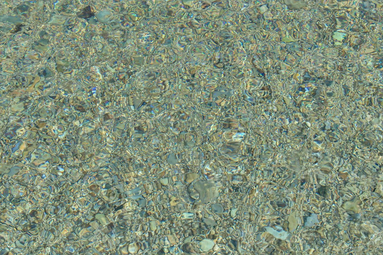 Green background of the seabed photo