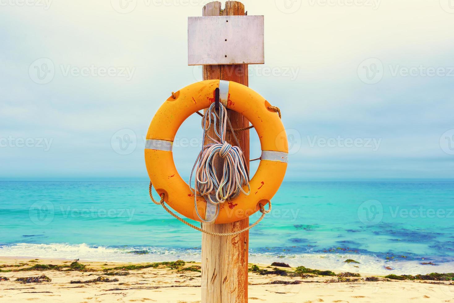 Lifebuoy on the beach photo