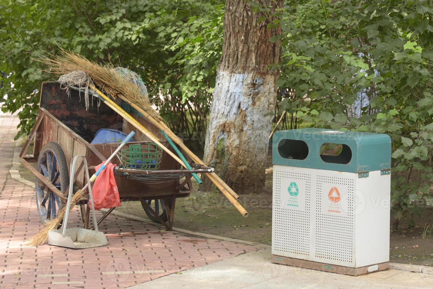 garbage collection in the park photo