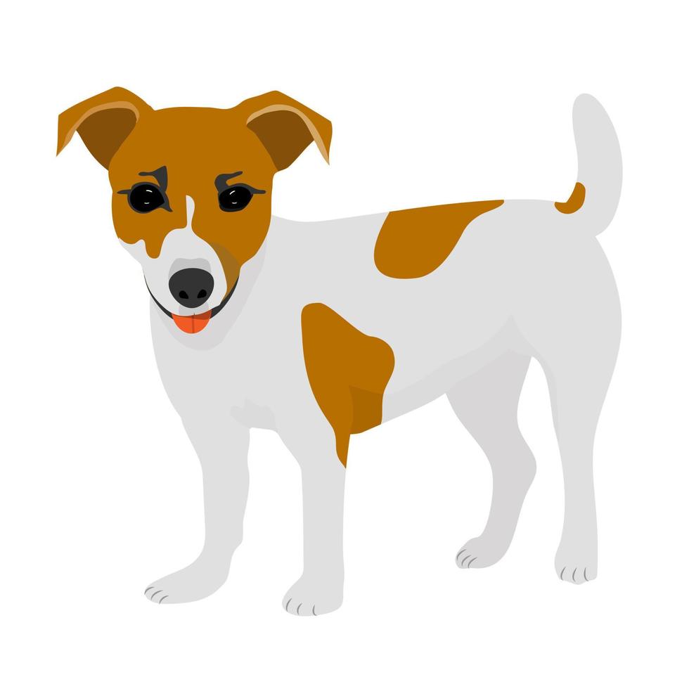 lindo perro jack russell terrier. mascota del personaje. ilustración vectorial vector