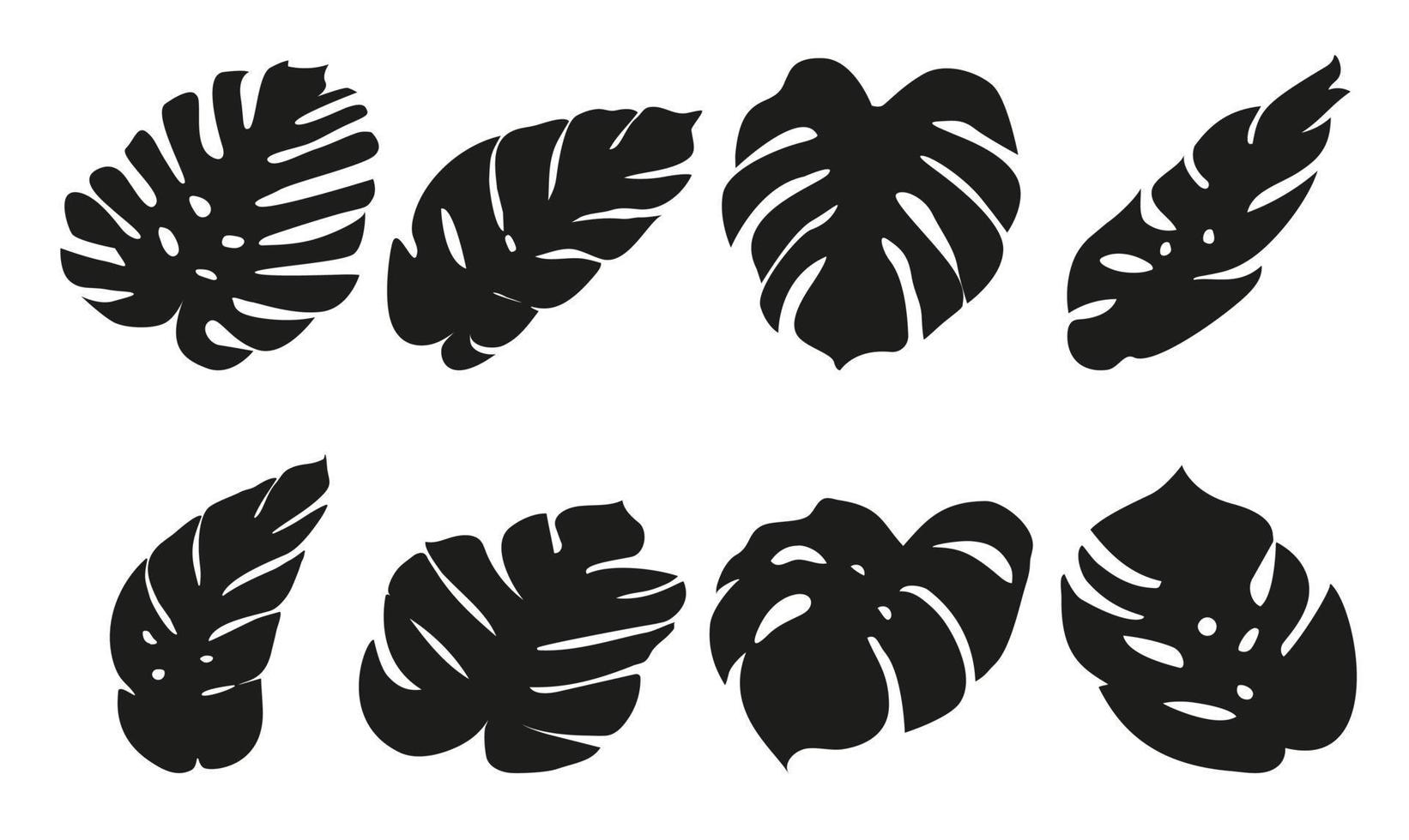 Silhouette of monstera leaves. Vector illustration