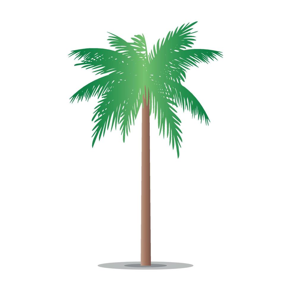 Palm tree illustration design vector