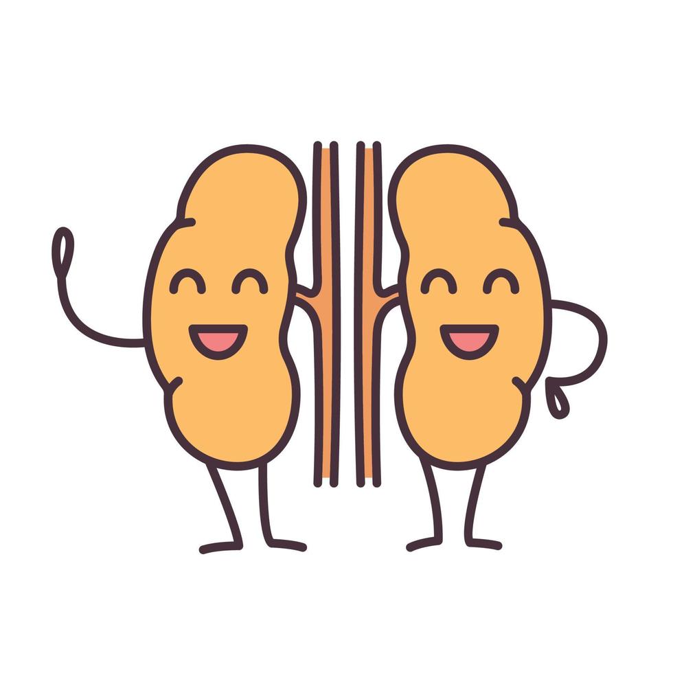 icono de color emoji de riñones humanos sonrientes. Tracto urinario sano. salud del sistema urinario. ilustración vectorial aislada vector
