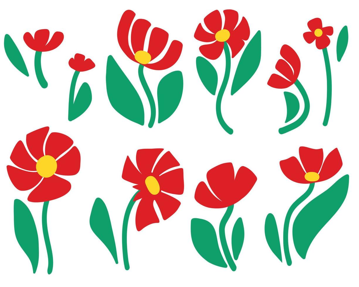 set of red poppy flowers on a white background vector
