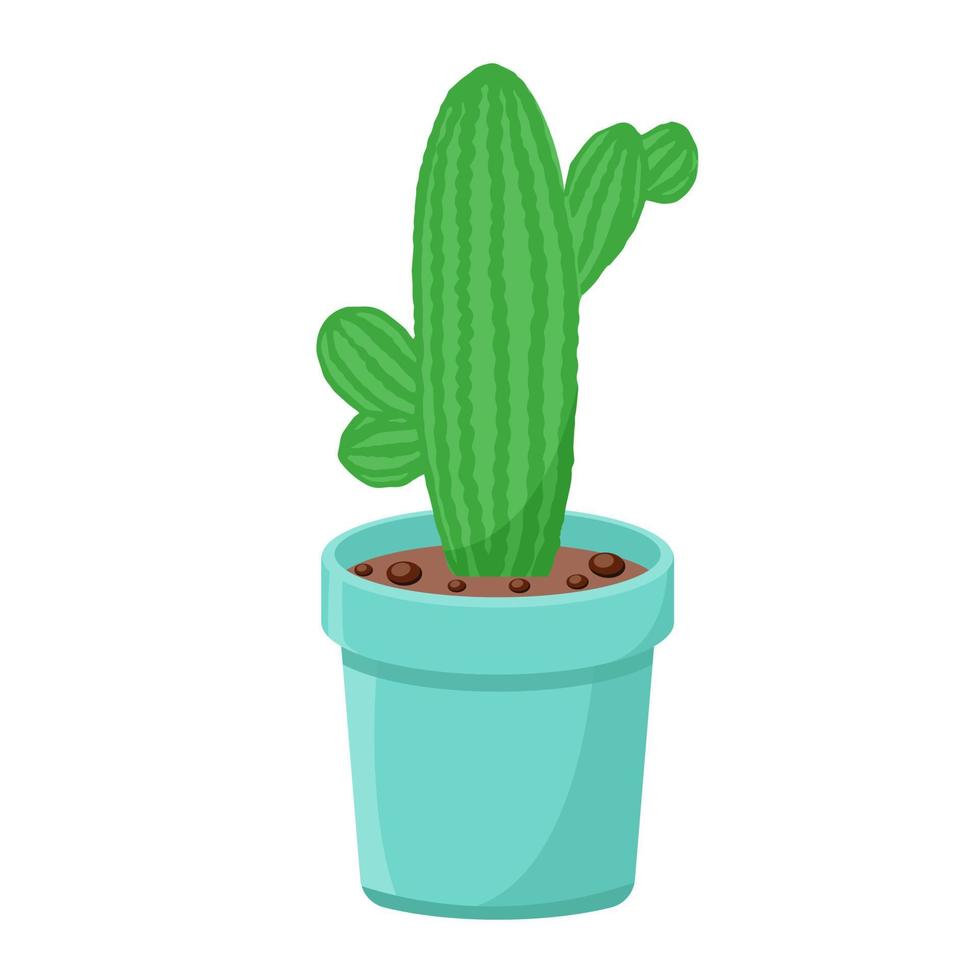 Cactus pot isolated vector Single succulent desert plant