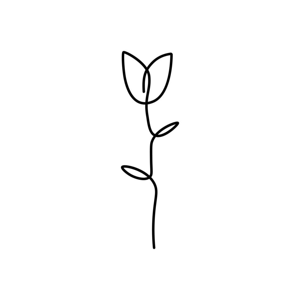 dutch tulip flower in one line art vector