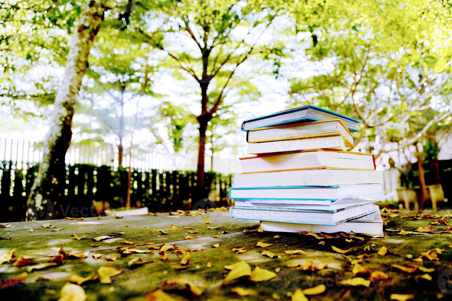 Books on wooden table at the park in autumn. photo