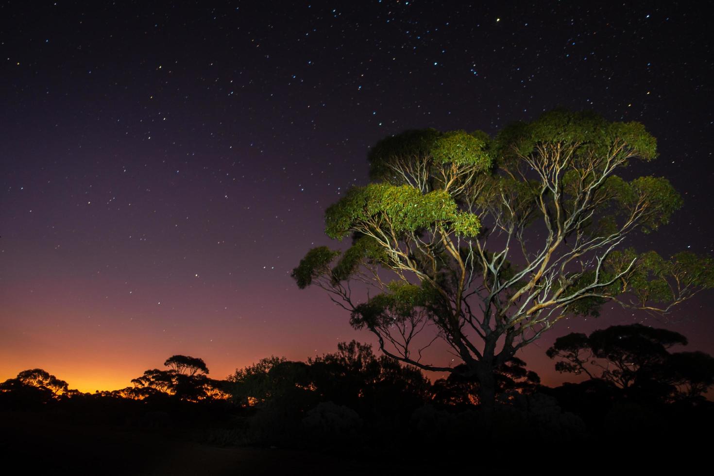 Starry night background photo