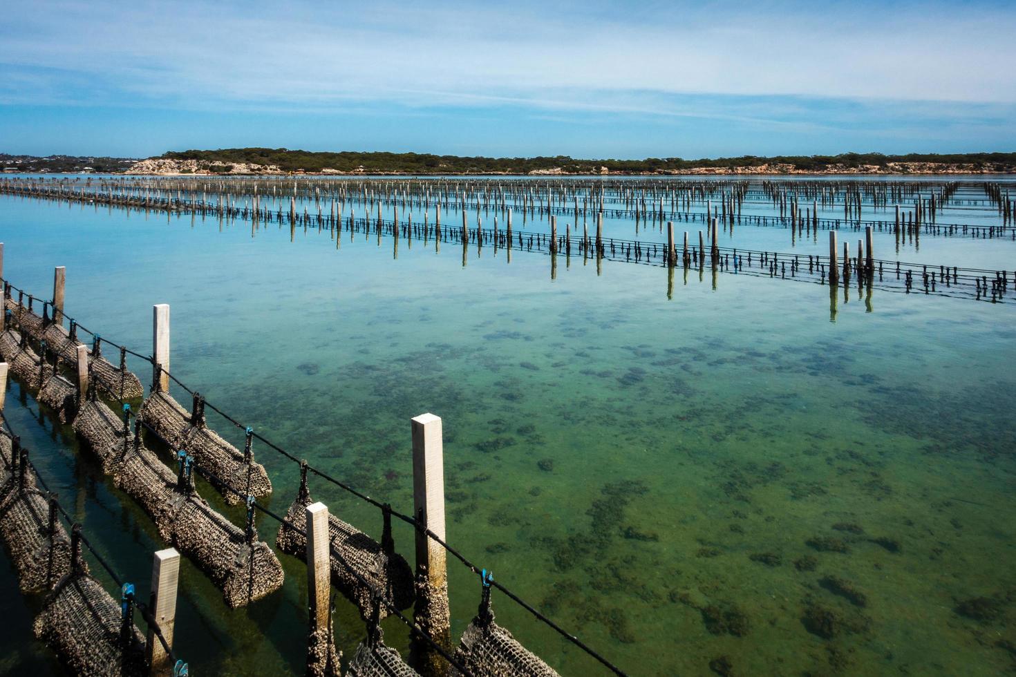 Oyster farm at Coffin Bay 8176298 Stock Photo at Vecteezy
