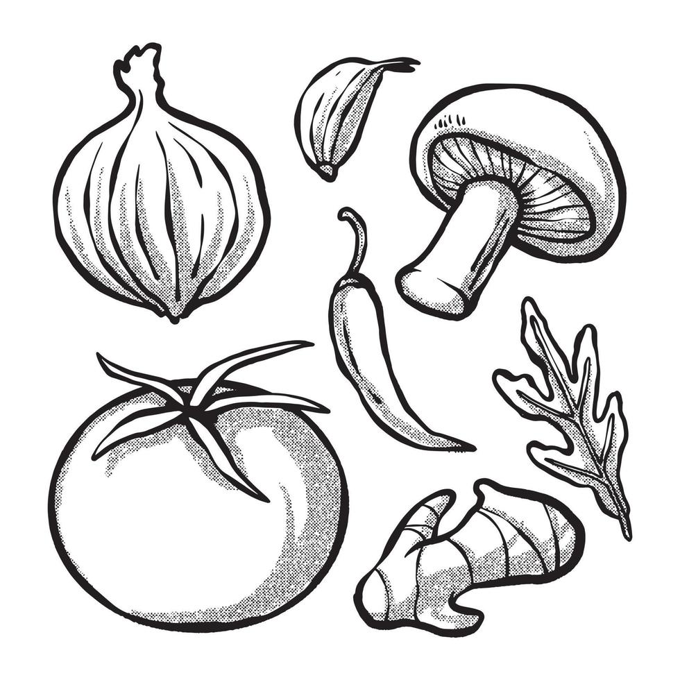 vegetarian illustrations. hand drawn technique line art vector